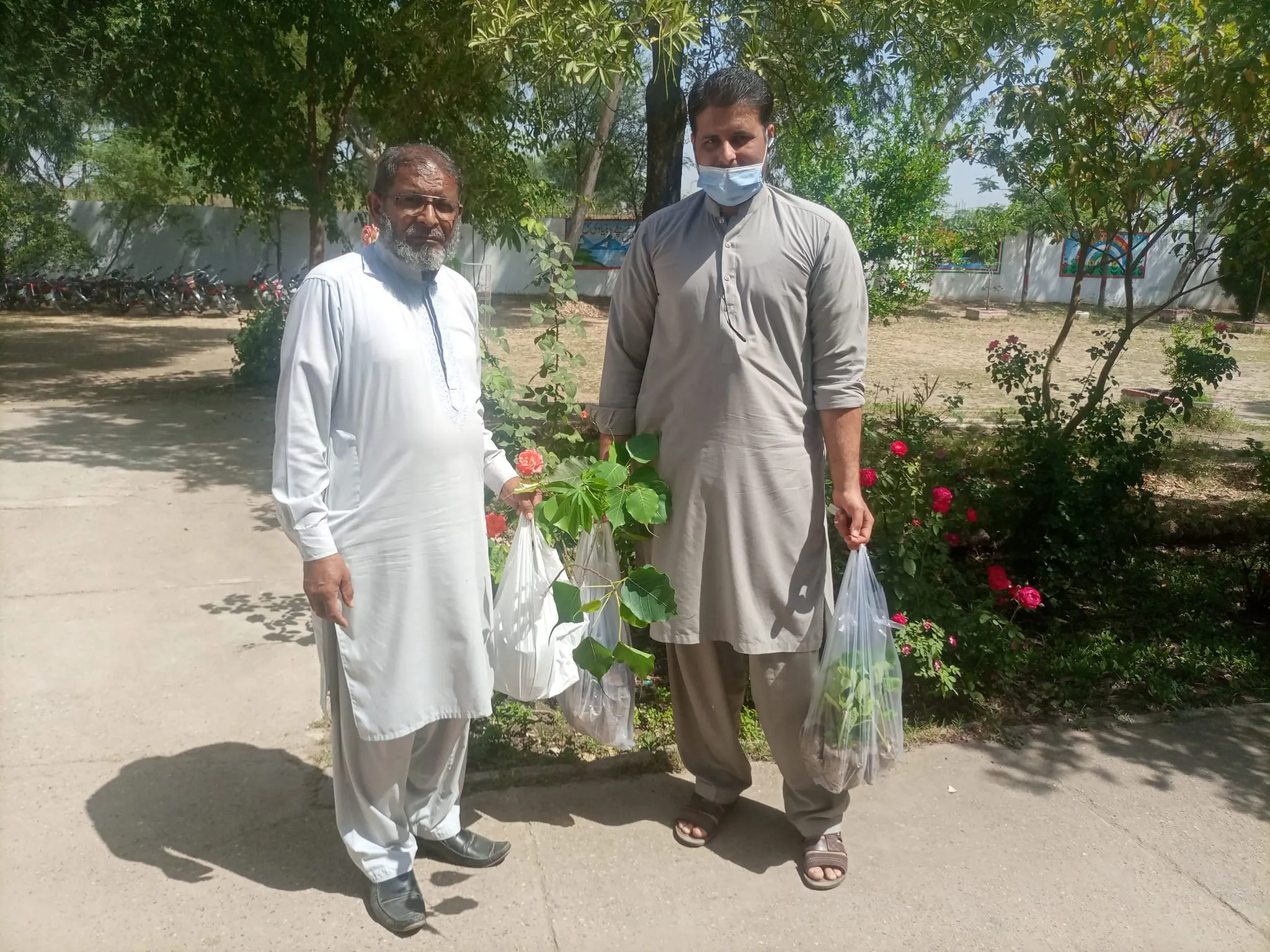 Green Seekers Activity